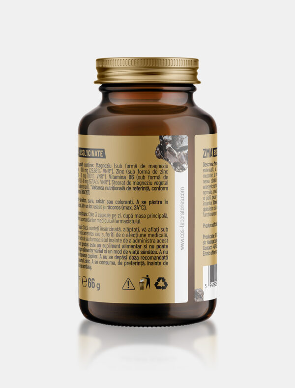 ZMA BISGLYCINATE / 60 capsule vegetale