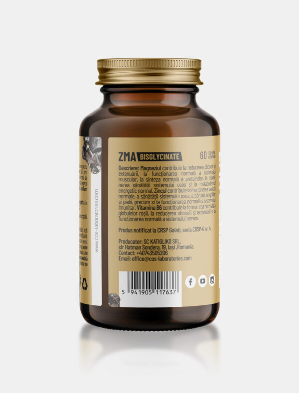 ZMA BISGLYCINATE / 60 capsule vegetale